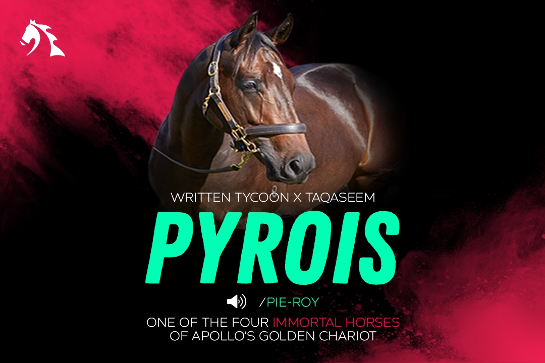 6 - Written Tycoon x Taqaseem