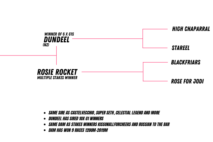 Pedigree Query See full pedigree here
