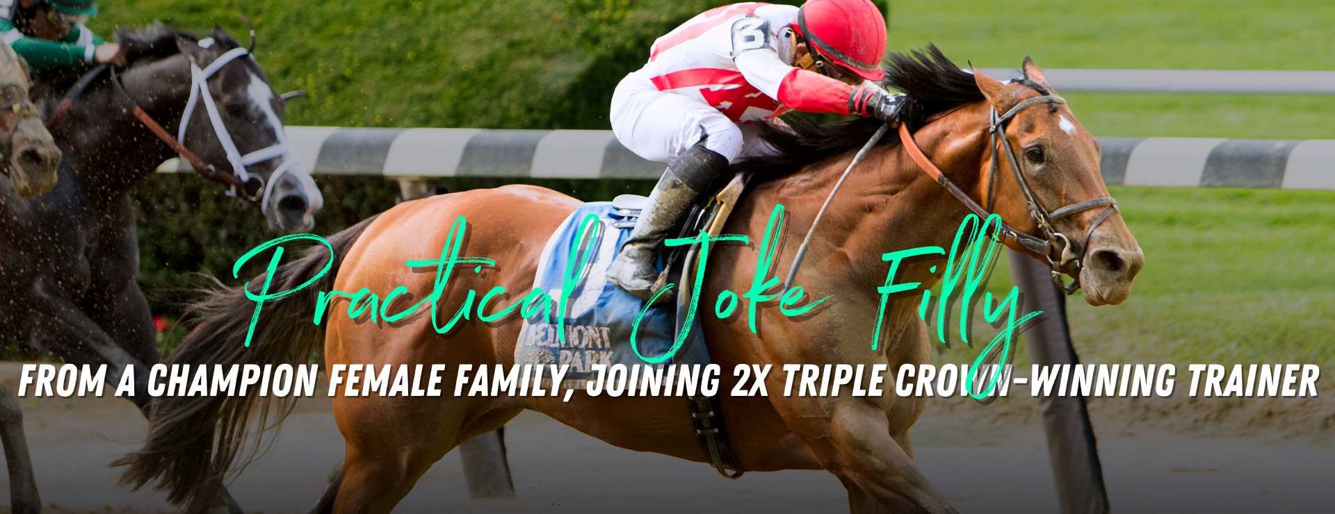 MyRacehorse