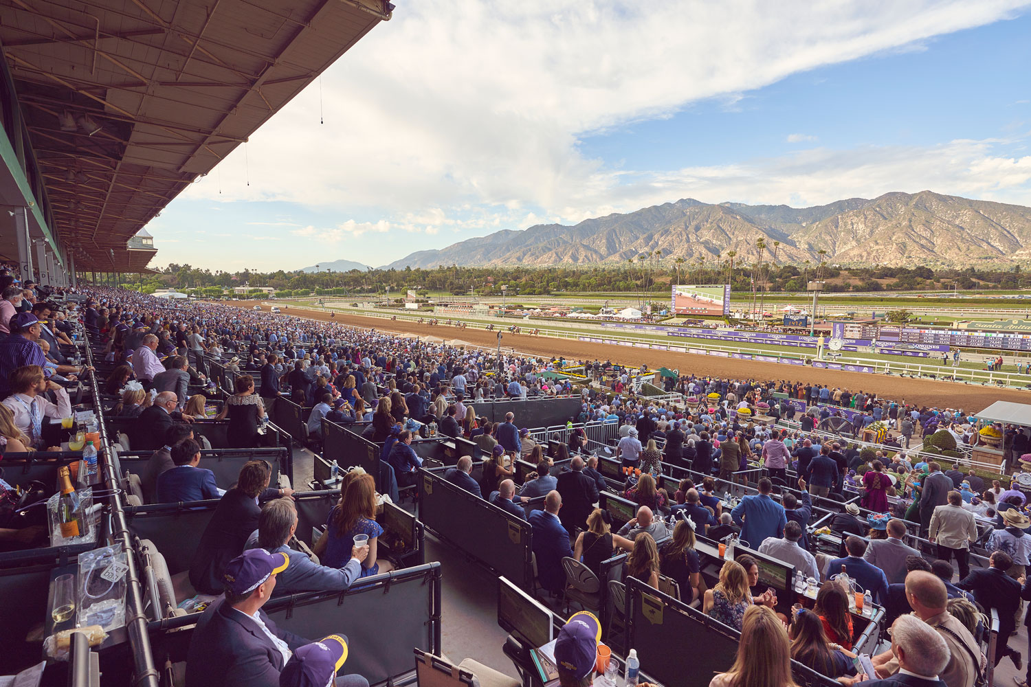 Get ready for an unforgettable California Crown Experience featuring ...